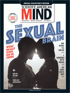 the sexual brain